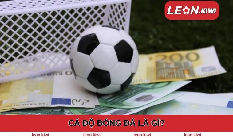 Cá Độ Bóng Đá Là Gì? - Kiến Thức Dành Cho Tân Thủ Tham Gia